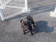 DSCF1739.JPG