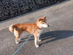 DSCF1730.JPG