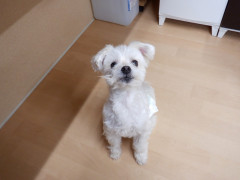 DSCF1790.JPG