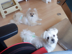 DSCF1820.JPG