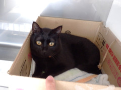 DSCF1797.JPG