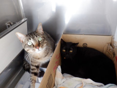 DSCF1858.JPG
