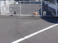 DSCF1840.JPG