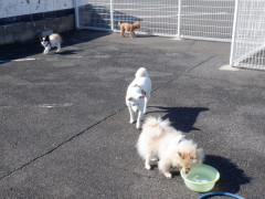 DSCF1849.JPG