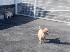DSCF1828.JPG
