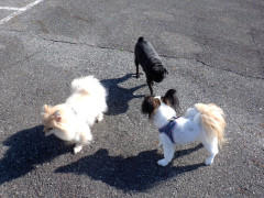 DSCF1851.JPG