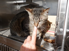 DSCF1862.JPG