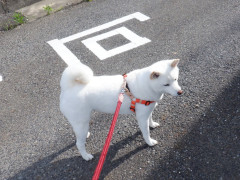 DSCF1868.JPG