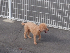 DSCF1870.JPG