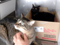 DSCF1890.JPG