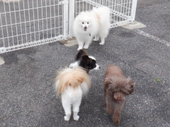 DSCF1899.JPG