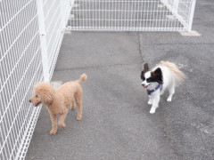DSCF1950.JPG