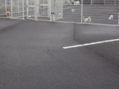 DSCF1998.JPG