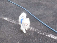 DSCF2022.JPG