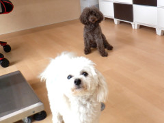 DSCF2059.JPG
