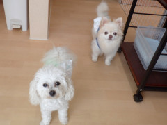 DSCF2056.JPG