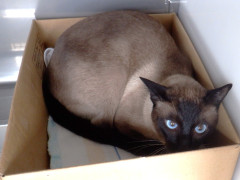 DSCF2046.JPG
