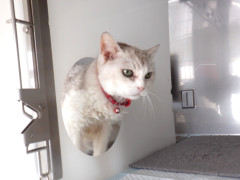 DSCF2043.JPG