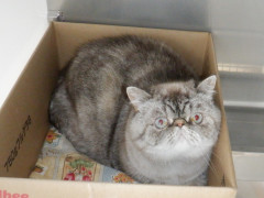 DSCF2033.JPG