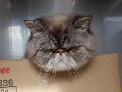 DSCF2070.JPG