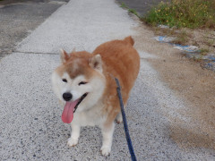 DSCF2066.JPG