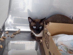 DSCF2072.JPG