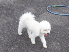DSCF2083.JPG