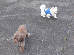 DSCF2080.JPG