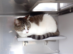 DSCF2118.JPG