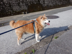 DSCF2102.JPG