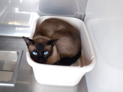 DSCF2113.JPG