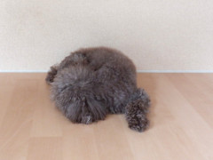 DSCF2119.JPG