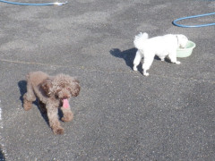 DSCF2129.JPG
