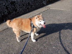 DSCF2124.JPG