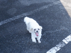 DSCF2128.JPG