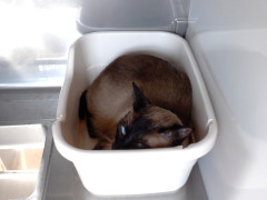 DSCF2134.JPG