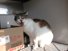 DSCF2142.JPG