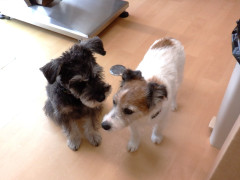 DSCF2181.JPG