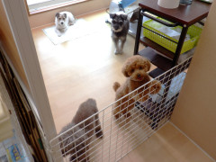 DSCF2175.JPG