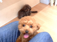 DSCF2183.JPG