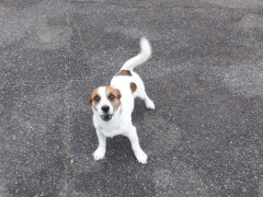 DSCF2191.JPG
