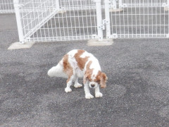 DSCF2197.JPG