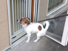 DSCF2212.JPG