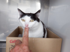 DSCF2216.JPG