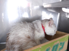 DSCF2254.JPG