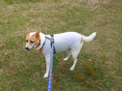 DSCF2245.JPG