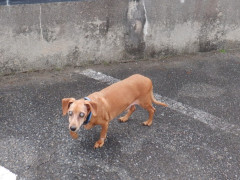 DSCF2224.JPG