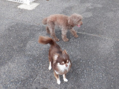 DSCF2230.JPG
