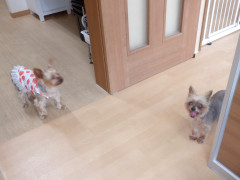 DSCF2250.JPG