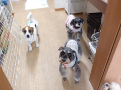 DSCF2252.JPG